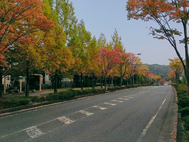 グリーンヒル風景