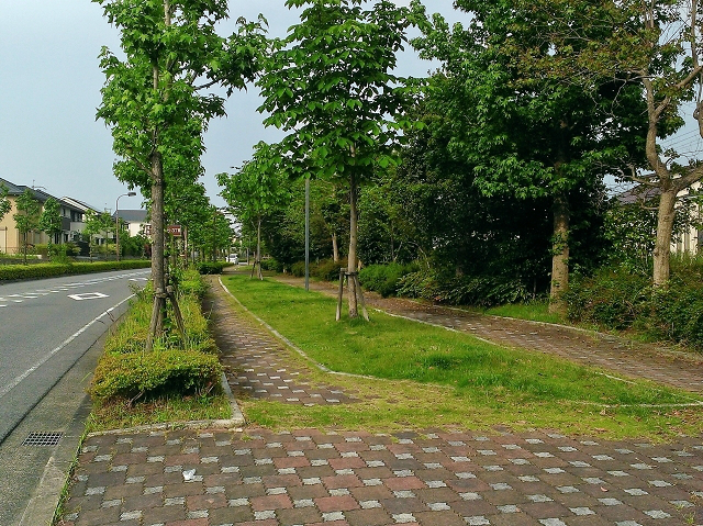 グリーンヒル大津・松が丘の歩道